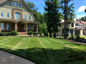 Hallsley Midlothian VA Lawn Care | Fertilization | Picture Perfect Lawn Maintenance | (804) 530-2540