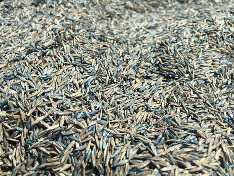 Core Aeration and Seeding | Fertilization | Picture Perfect Lawn Maintenance | (804) 530-2540 Core Aeration and Seeding | Fertilization | Picture Perfect Lawn Maintenance | (804) 530-2540