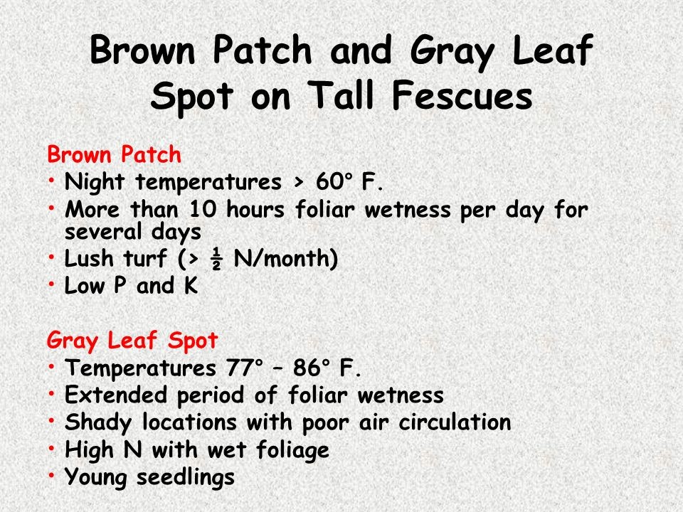 What's Next for Your Lawn | Lawn Care | Fertilization | Picture Perfect Lawn Maintenance | (804) 530-2540