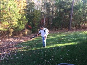 Fall Leaves On The Lawn | Lawn Care | Fertilization | Picture Perfect Lawn Maintenance | (804) 530-2540