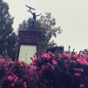 Hampton Park Lawn Care