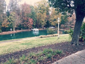 Hampton Park Lawn Care | Fertilization | PPLM | (804) 530-2540