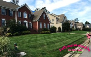 Hampton Park Lawn Care | Fertilization | PPLM | (804) 530-2540