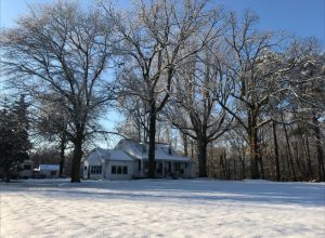 What's Next in 2019 | PPLM | (804)530-2540 | Green Lawns In VA