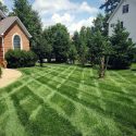 Moseley VA Lawn Care Company