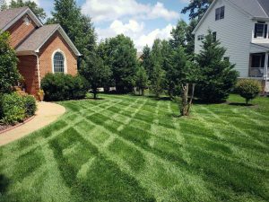 VA Green Lawn | Fertilization | PPLM | (804) 530-2540