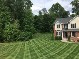 Martin's Grant Lawn Care | Fertilized By PPLM | (804)530-2540 | Green Lawns In VA