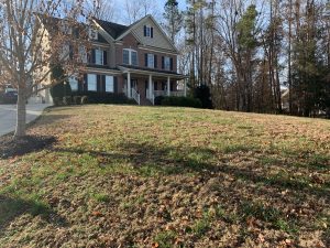 Dormant Bermuda In Fescue | PPLM | (804)530-2540 | Green Lawns In VA