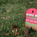 What to Think About for Spring Weed Control