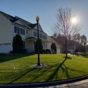 Spring Fertilizer PPLM’s Recovery Treatment