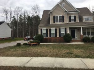 Dormant Bermuda In Fescue | PPLM | (804)530-2540 | Green Lawns In VA
