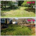 Brookcreek Estates Lawn Care