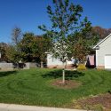 Clarke’s Forge Lawn Care