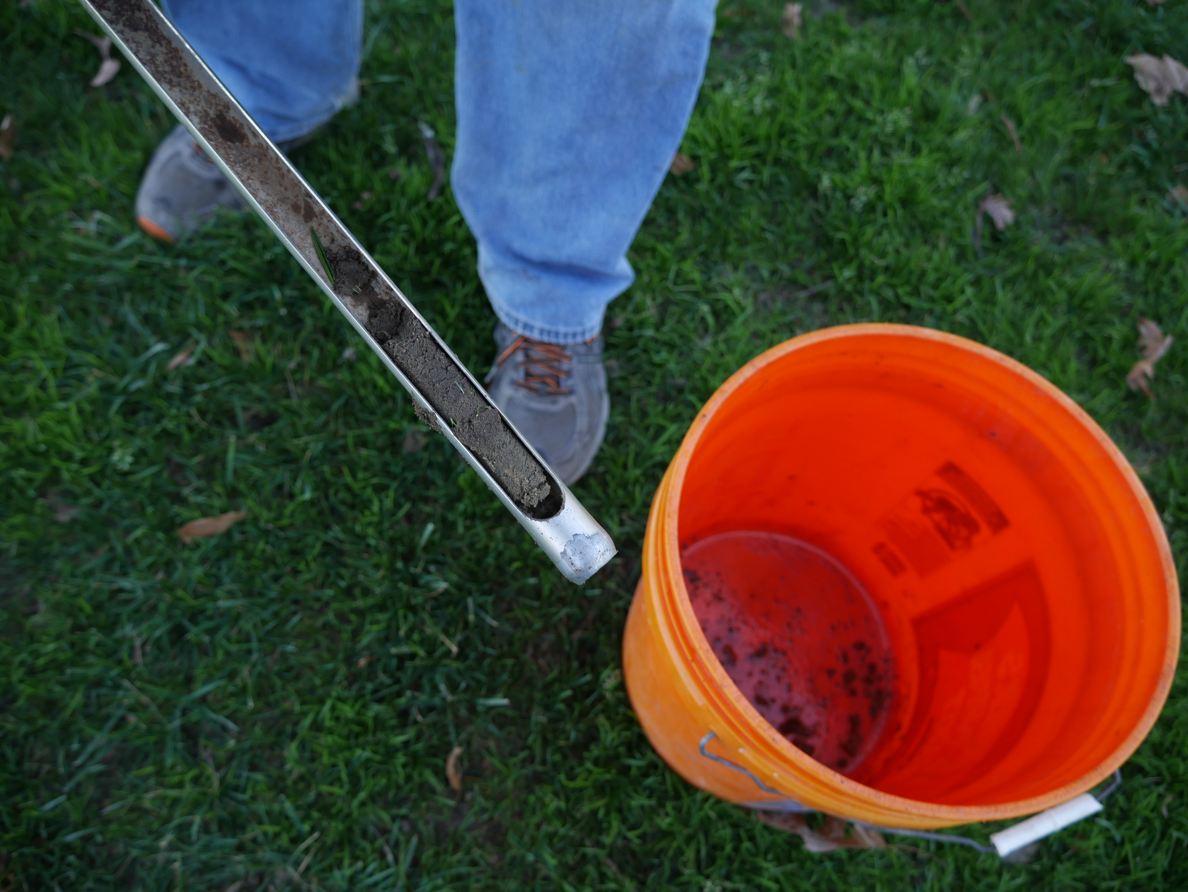 Soil Analysis | PPLM | (804)530-2540 | Green Lawns In VA