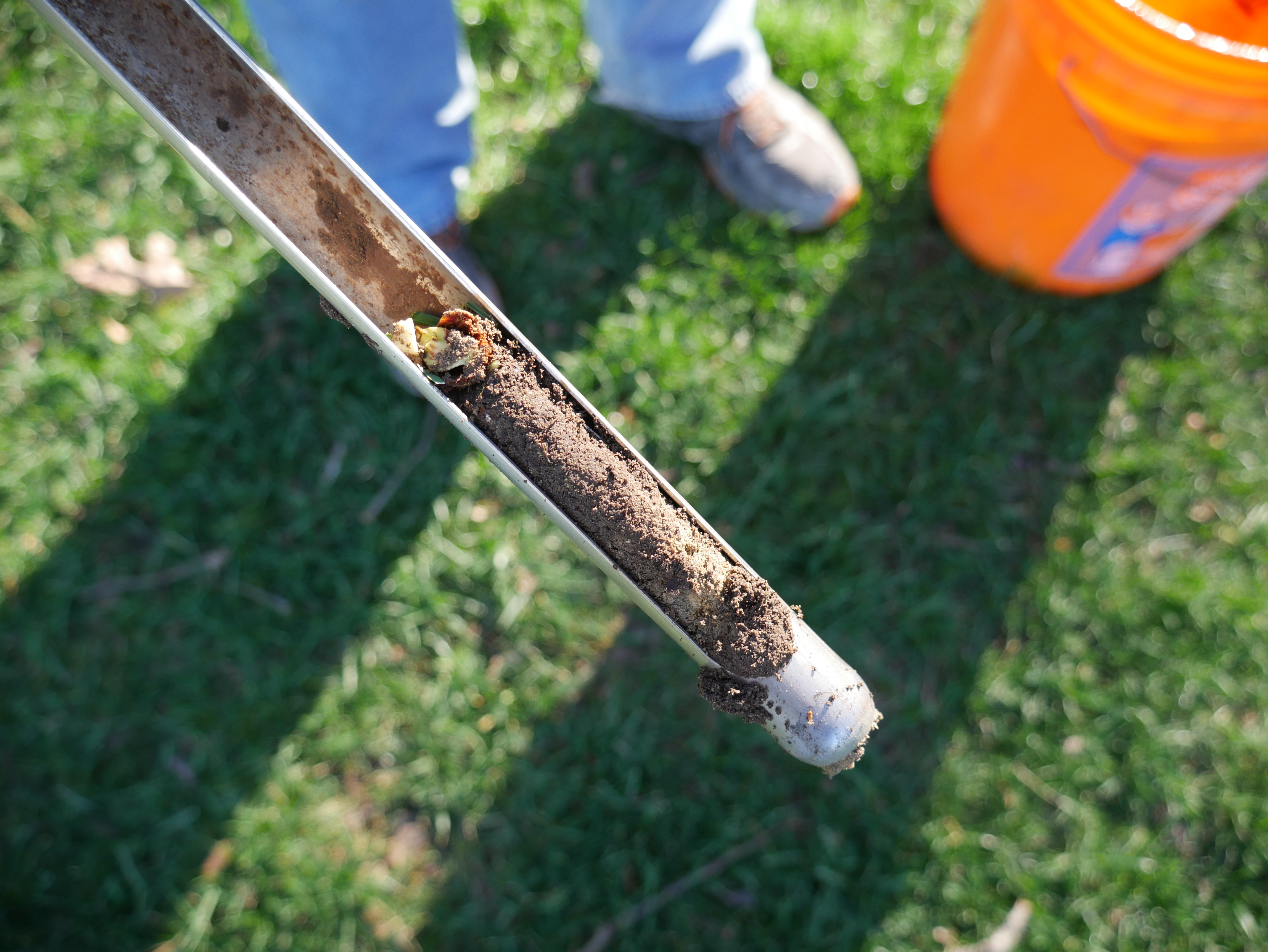 Soil Analysis Reports | PPLM | (804)530-2540 | Green Lawns In VA