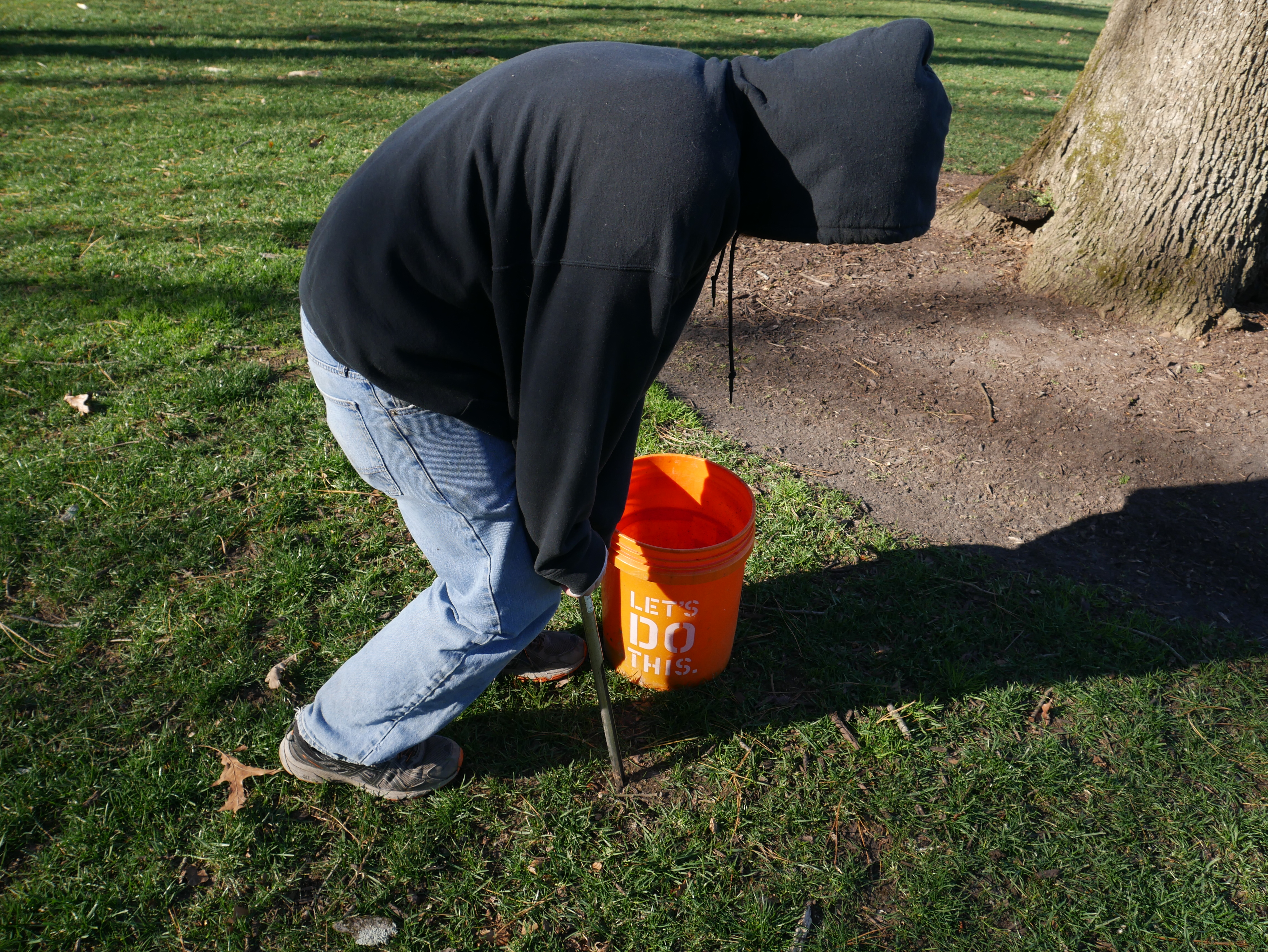 Soil Analysis | PPLM | (804)530-2540 | Green Lawns In VA