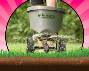 Amstel Bluff Lawn Care | Fertilization | PPLM | (804) 530-2540