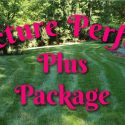 Bel Bridge Lawn Care