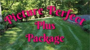 Bel Crest Lawn Care | PPLM | (804)530-2540 | Green Lawns In VA