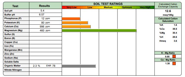 Lawn Soil Analysis & Corrective Treatments | PPLM | (804)530-2540 | Green Lawns In VA
