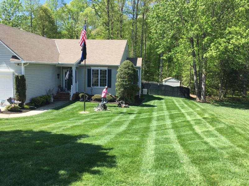 Professional Soil Testing PPLM | (804)530-2540 | Green Lawns In VA Professional Soil Testing PPLM | (804)530-2540 | Green Lawns In VA