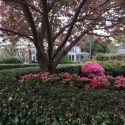 Beulah Oaks Lawn Care