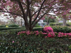 Beulah Oaks Lawn Care | Fertilization | PPLM | (804) 530-2540