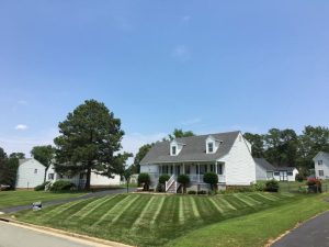 Dinwiddie Lawn Care