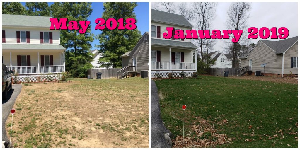 February 2019