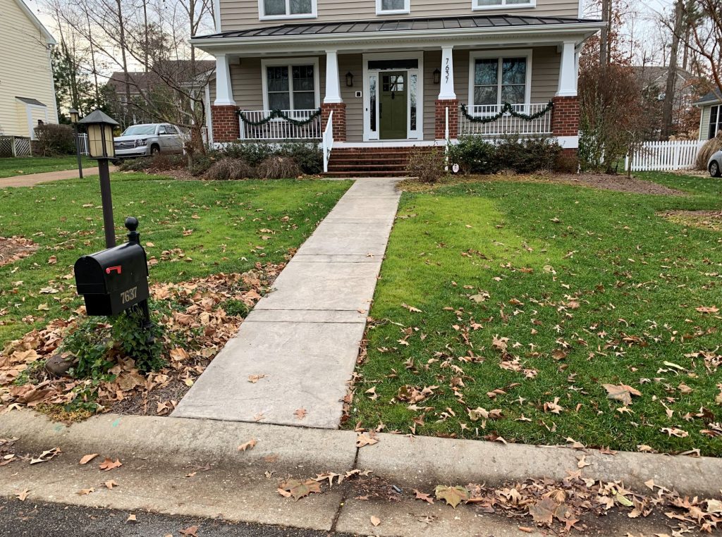 Planting Fescue In Spring