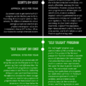DIY vs. Professional Lawn Care