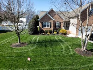 A professionally maintained lawn showing the path of an applicator’s equipment