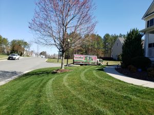 A Picture Perfect lawn with weed free mulch beds.