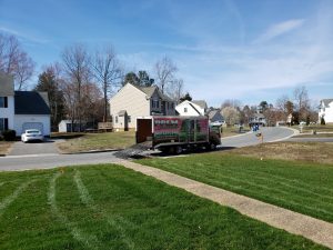 spring lawn care tips