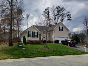 spring lawn care tips