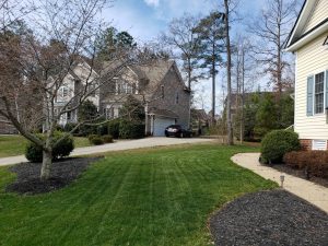spring lawn care tips
