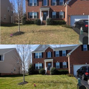 Getting A Lawn Care Estimate