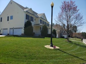 Warm Season vs. Cool Season Grass
