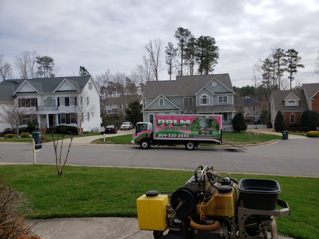 What's next for your lawn