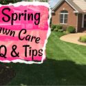 Spring Lawn Care Tips