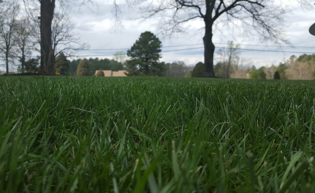 A home that received our lawn service in Chesterfield, VA