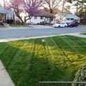 Hopewell Lawn Care