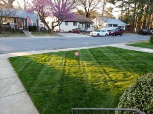 Hopewell Lawn Care