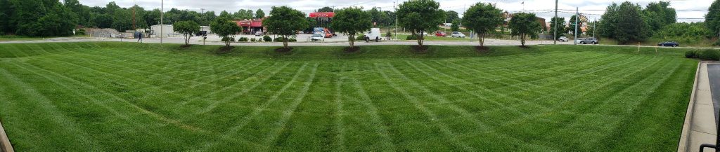 How to stripe a lawn