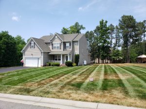 Lawn Heat Stress