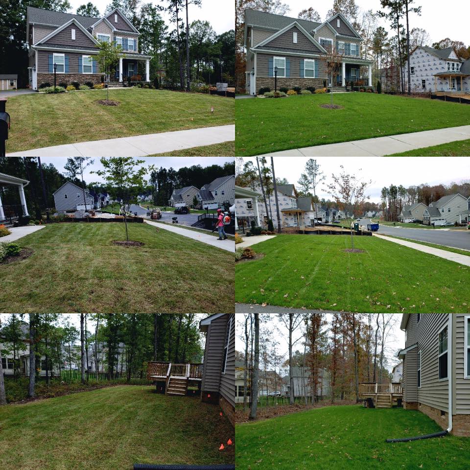 aeration and seeding