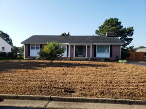 During a Lawn Renovation