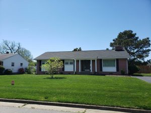 After a Lawn Renovation