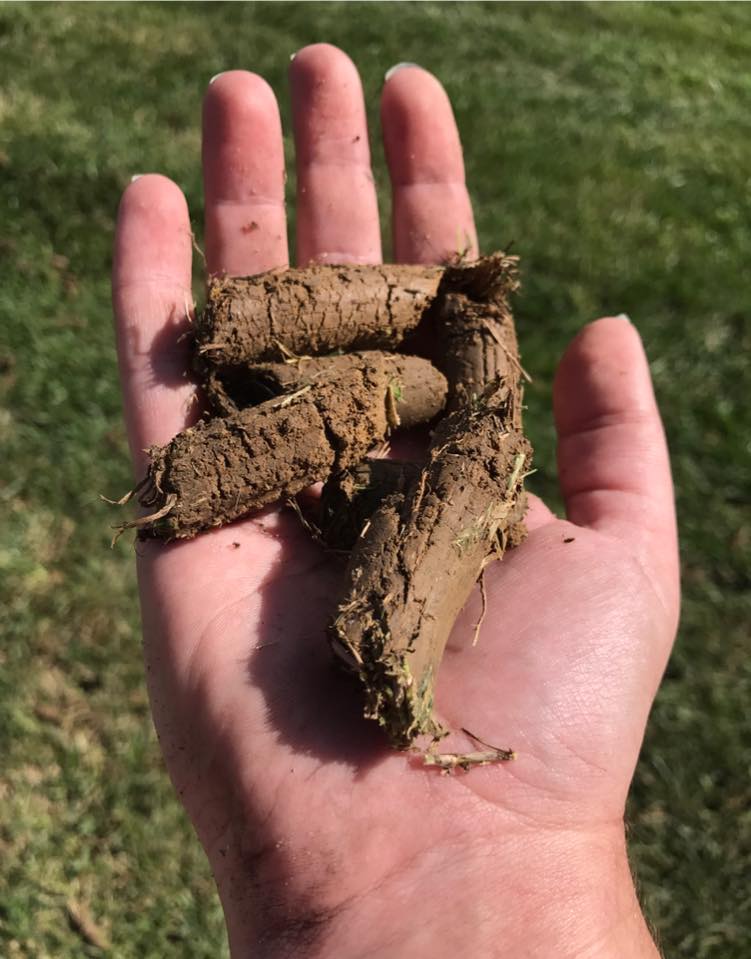 Why you dont need cores to grow grass