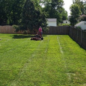 Seeding aftercare